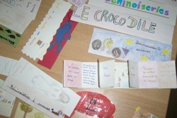 Année 2008-2009/Collège Sainte Marie